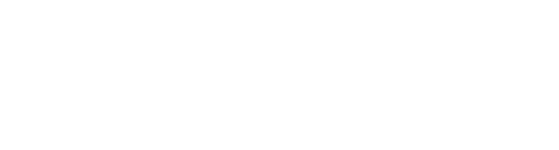 LiveCamper Logo